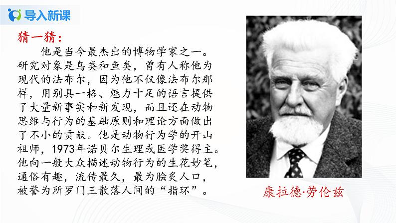 2021（五四制）部编人教版《动物笑谈》PPT课件+教案+音频+课时练习（带答案）03