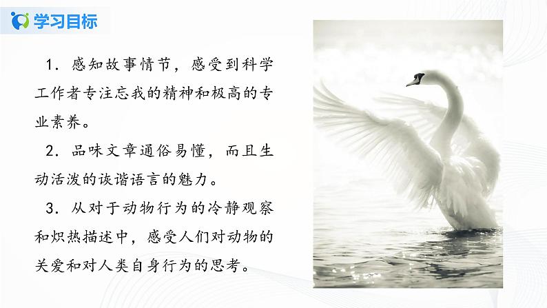 2021（五四制）部编人教版《动物笑谈》PPT课件+教案+音频+课时练习（带答案）04