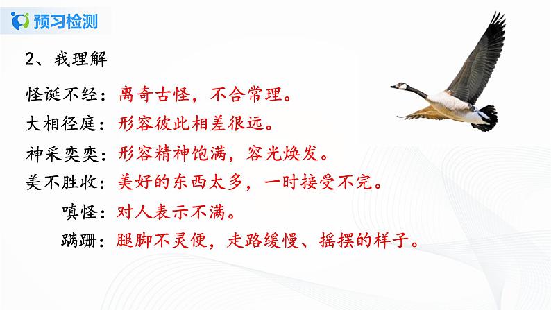 2021（五四制）部编人教版《动物笑谈》PPT课件+教案+音频+课时练习（带答案）06