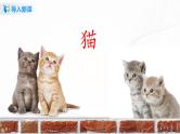 2021（五四制）部编人教版《猫》PPT课件+教案+音频+课时练习（带答案）