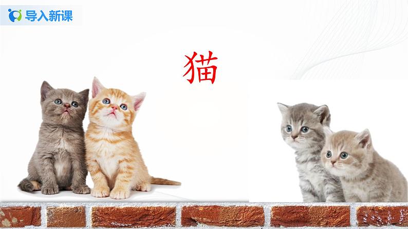 2021（五四制）部编人教版《猫》PPT课件+教案+音频+课时练习（带答案）03