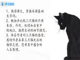 2021（五四制）部编人教版《猫》PPT课件+教案+音频+课时练习（带答案）