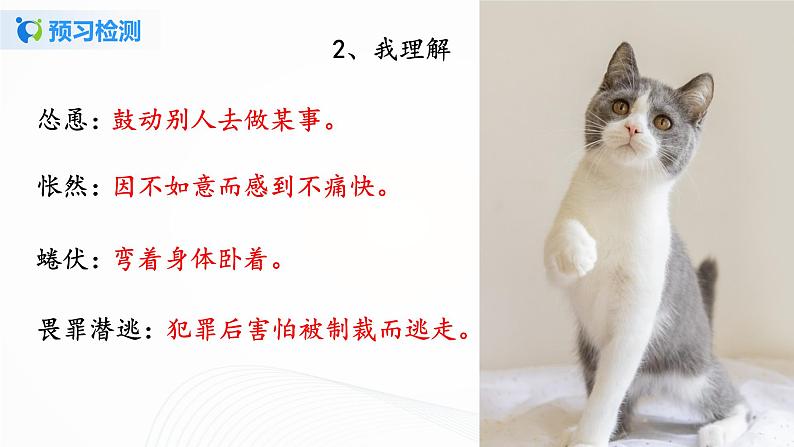2021（五四制）部编人教版《猫》PPT课件+教案+音频+课时练习（带答案）06