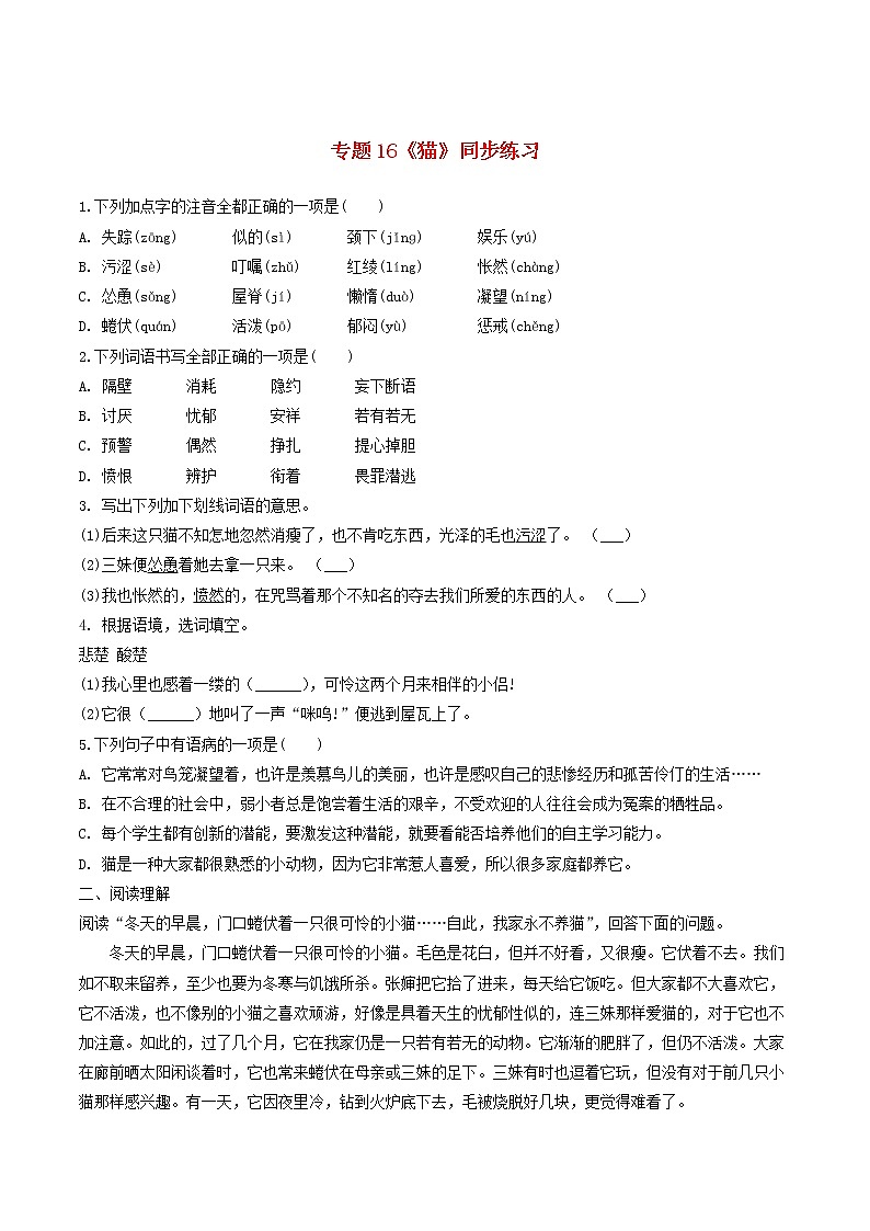 2021（五四制）部编人教版《猫》PPT课件+教案+音频+课时练习（带答案）01