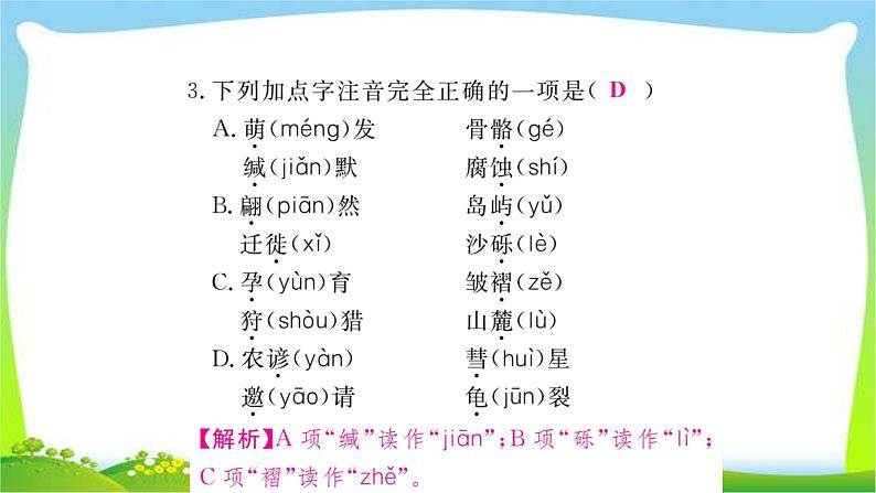 最新部编版八年级语文下册期末复习完美课件PPT第4页