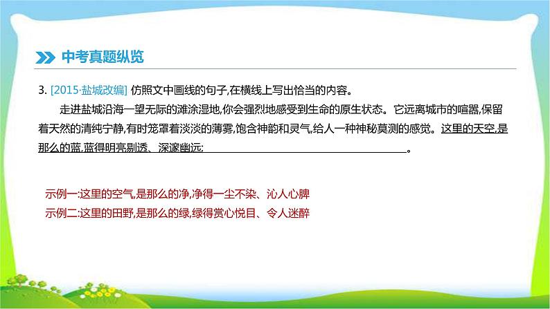 中考语文专题积累运用复习4修辞与仿写完美课件PPT06