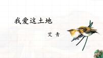 语文九年级上册第一单元3 我爱这土地课文配套课件ppt