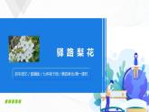 15《驿路梨花》第一课时课件+教案