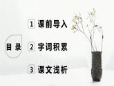 部编版语文八年级上册-8.列夫·托尔斯泰  优质课件+优秀教案