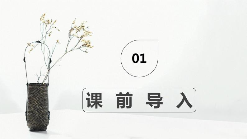 部编版语文八年级上册-8.列夫·托尔斯泰  优质课件+优秀教案03