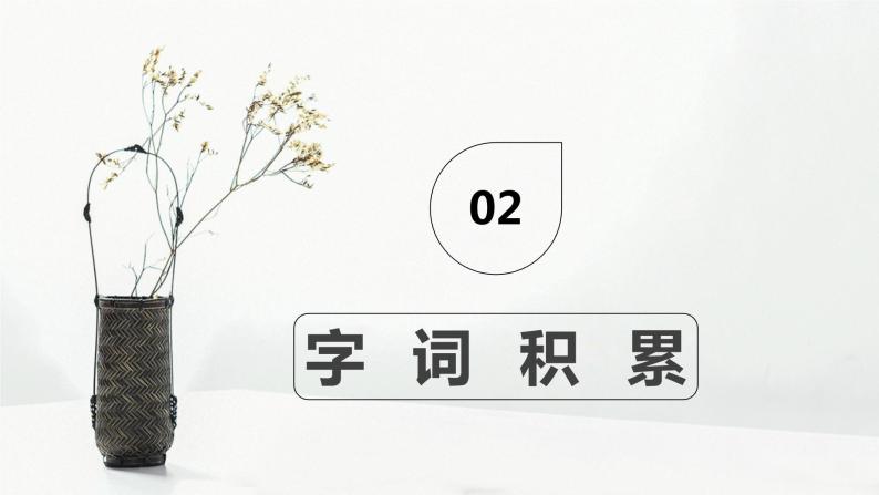 部编版语文八年级上册-8.列夫·托尔斯泰  优质课件+优秀教案07