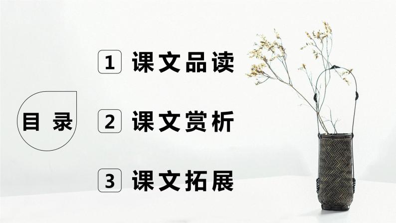 部编版语文八年级上册-8.列夫·托尔斯泰  优质课件+优秀教案02