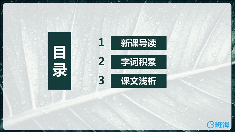 部编版语文八年级上册-17.昆明的雨  优质课件+优秀教案02