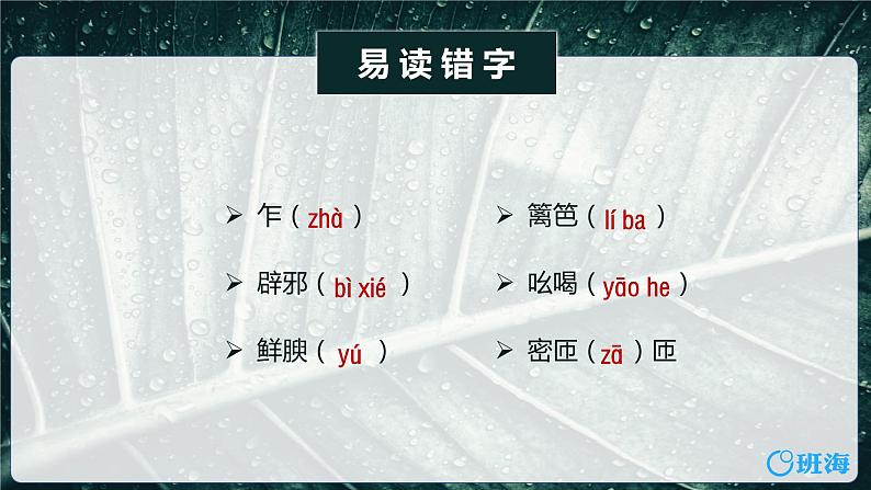 部编版语文八年级上册-17.昆明的雨  优质课件+优秀教案08