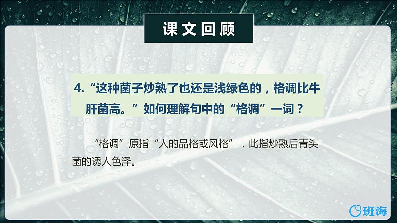 部编版语文八年级上册-17.昆明的雨  优质课件+优秀教案07