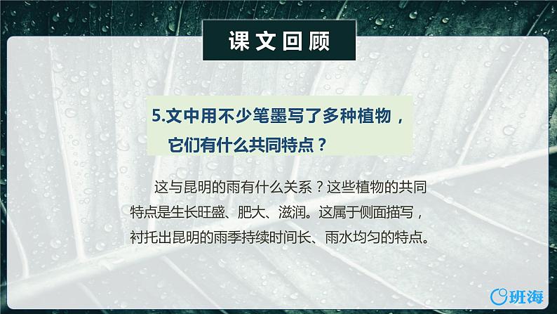 部编版语文八年级上册-17.昆明的雨  优质课件+优秀教案08