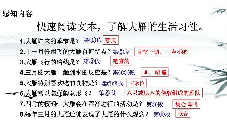 第7课 《大雁归来》人教版八年级语文下册课件 +教案+同步练习题06