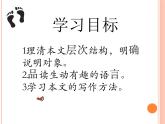 第08課 《時間的腳印》-人教版八年級語文下冊課件 +教案+同步練習題