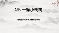 初中语文人教部编版七年级下册19* 一棵小桃树教学ppt课件
