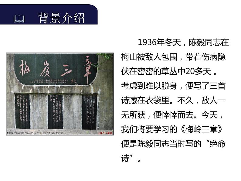 2020—2021学年九年级语文部编版下册第2课《梅岭三章》课件（共23张PPT）02