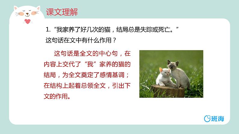 部编版语文七年级上册-16.猫  优质课件+优秀教案04