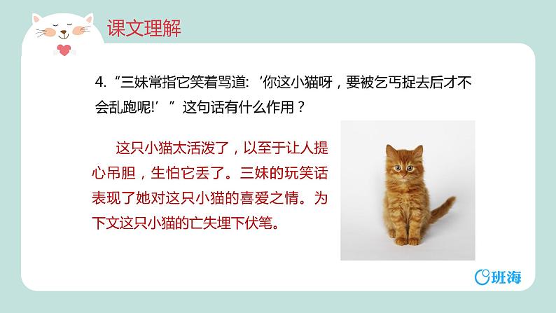 部编版语文七年级上册-16.猫  优质课件+优秀教案07