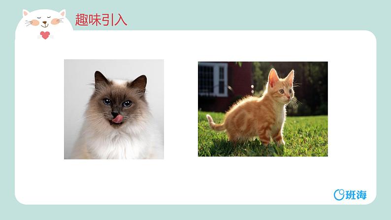 部编版语文七年级上册-16.猫  优质课件+优秀教案04