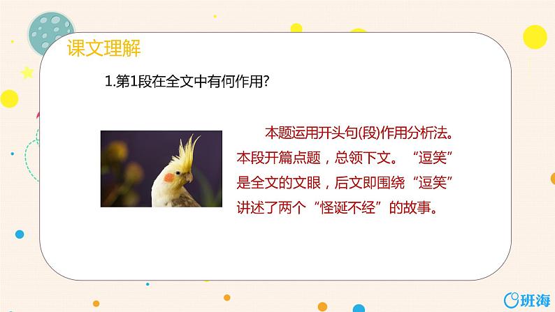 部编版语文七年级上册-17.动物笑谈  优质课件+优秀教案04