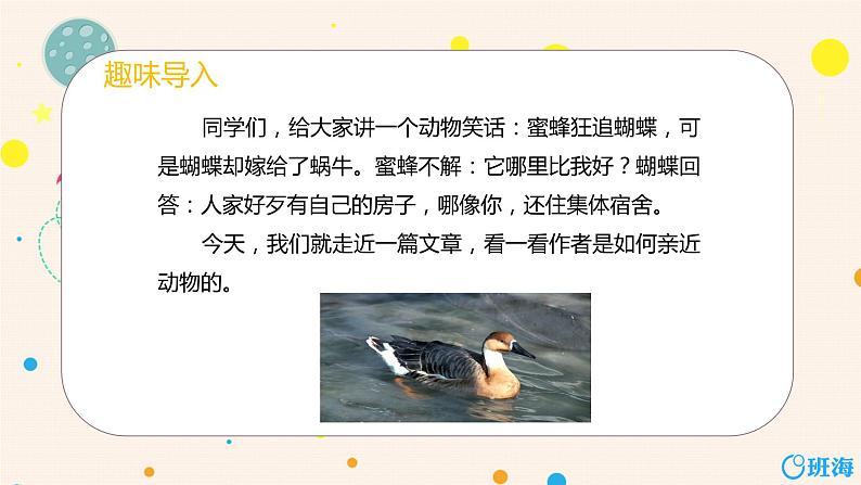部编版语文七年级上册-17.动物笑谈  优质课件+优秀教案04