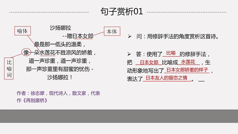 中考阅读提分课9（句子赏析-修辞手法的作用）课件PPT05