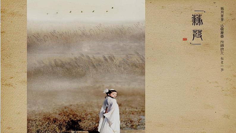 第12课《诗经二首》-人教版八年级语文下册课件 +教案+同步练习题02