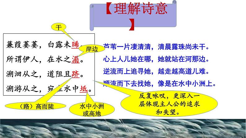 第12课《诗经二首》-人教版八年级语文下册课件 +教案+同步练习题08