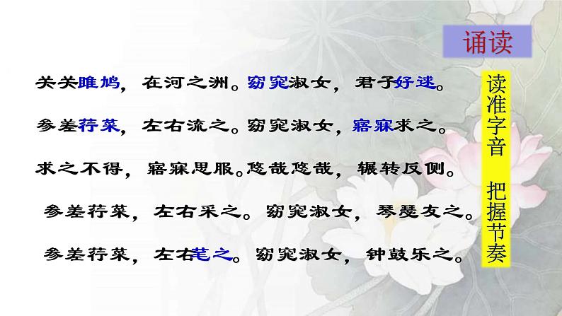 第12课《诗经二首》-人教版八年级语文下册课件 +教案+同步练习题06