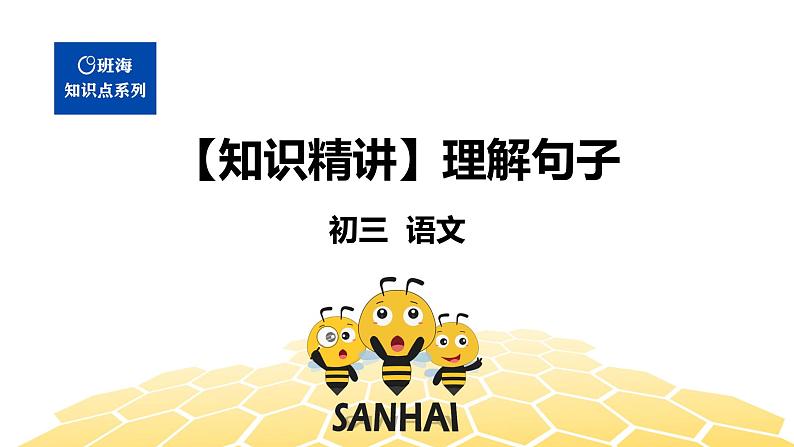 语文九年级 【知识精讲】3.句子(5)理解句子课件PPT01