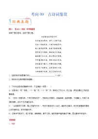 考向09 古诗词鉴赏（重点）-备战2022年中考语文一轮复习考点微专题