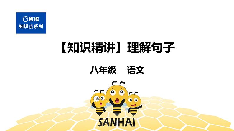 语文八年级 【知识精讲】3.句子(7)理解句子 (2)课件PPT01