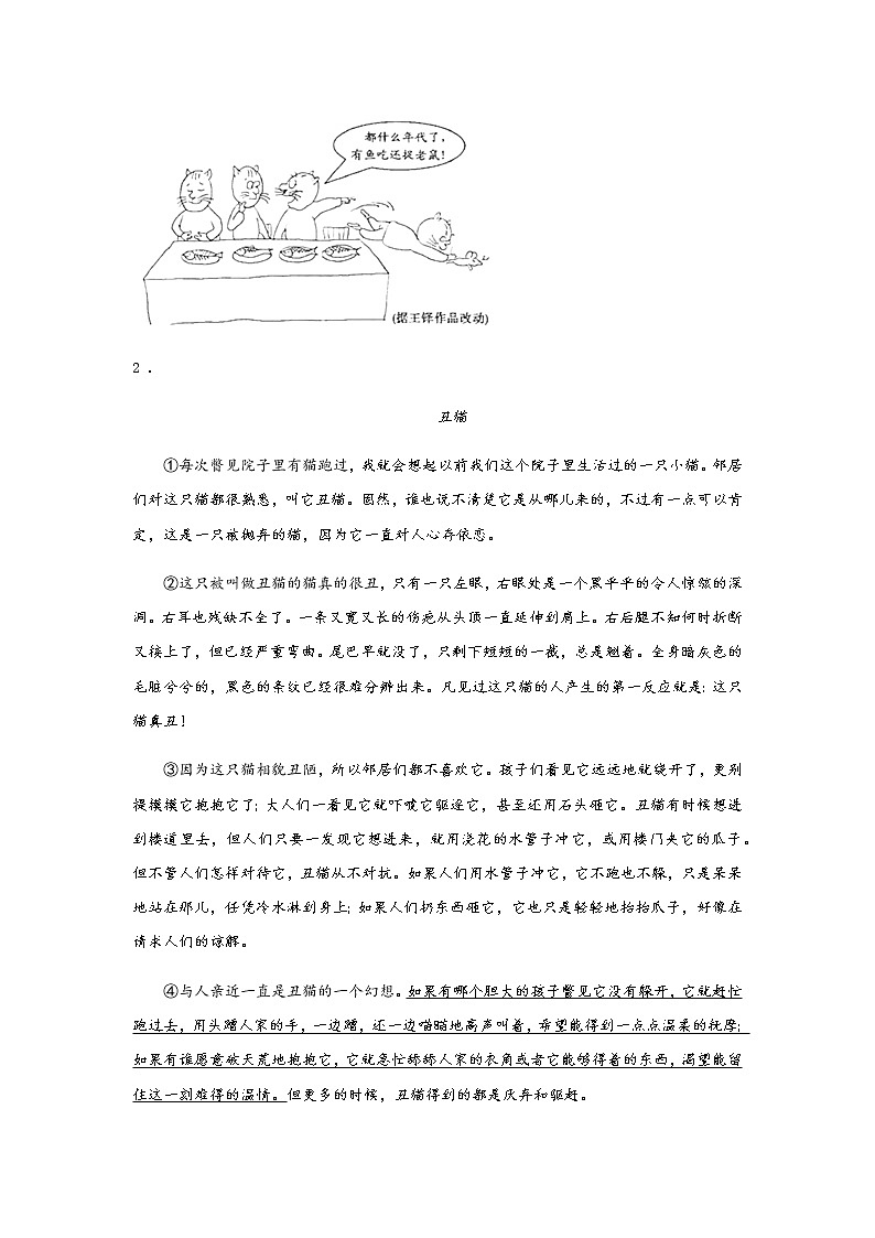 初中语文部编版七年级上册《猫》课前课中课后同步试题精编02