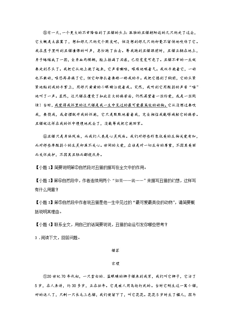 初中语文部编版七年级上册《猫》课前课中课后同步试题精编03