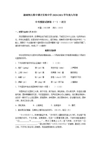 2021年湖南师大附中博才实验中学九年级中考一模考试语文试卷