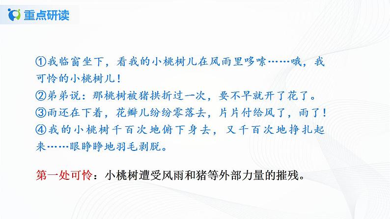 19《一棵小桃树》第二课时课件+教案05