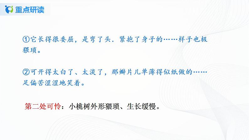 19《一棵小桃树》第二课时课件+教案06