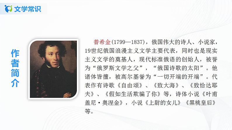 20《假如生活欺骗了你》课件第5页