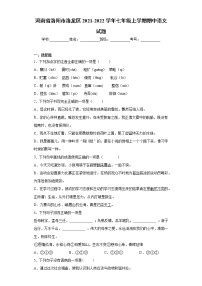 河南省洛阳市洛龙区2021-2022学年七年级上学期期中语文试题（word版 含答案）