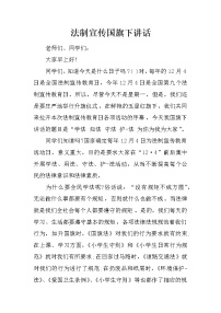 法制宣传国旗下讲话