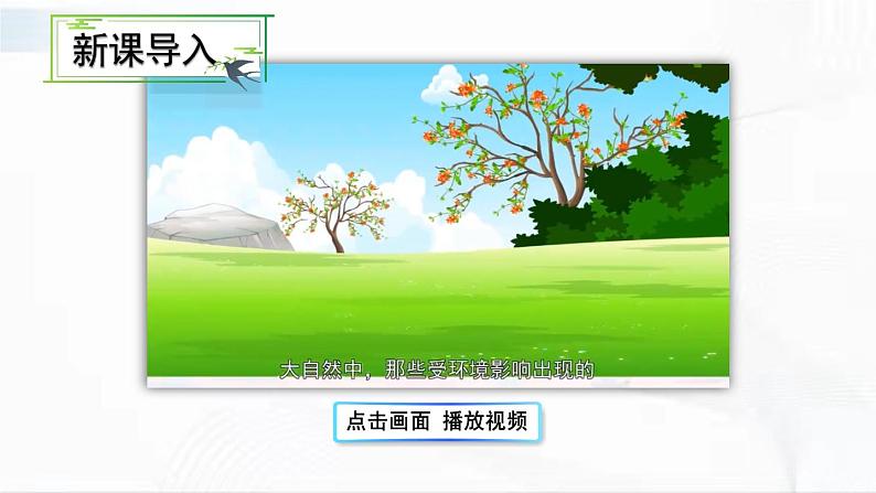 部编版语文八年级下册 5 大自然的语言 课件第2页