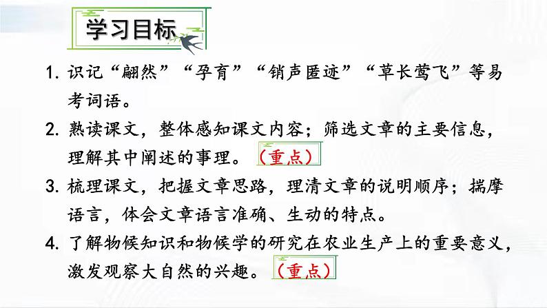 部编版语文八年级下册 5 大自然的语言 课件第3页