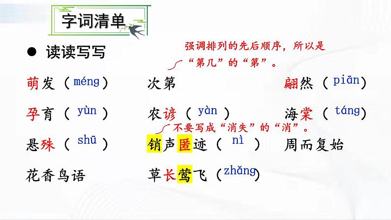 部编版语文八年级下册 5 大自然的语言 课件第8页