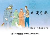 变色龙PPT课件免费下载