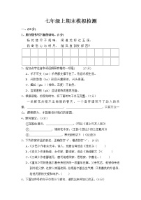 部编版语文七年级上册  第一学期期末模拟试卷（含答题卡+答案）