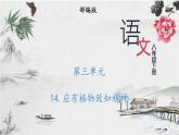 部編版語文八年級下冊 14 應有格物致知精神 課件
